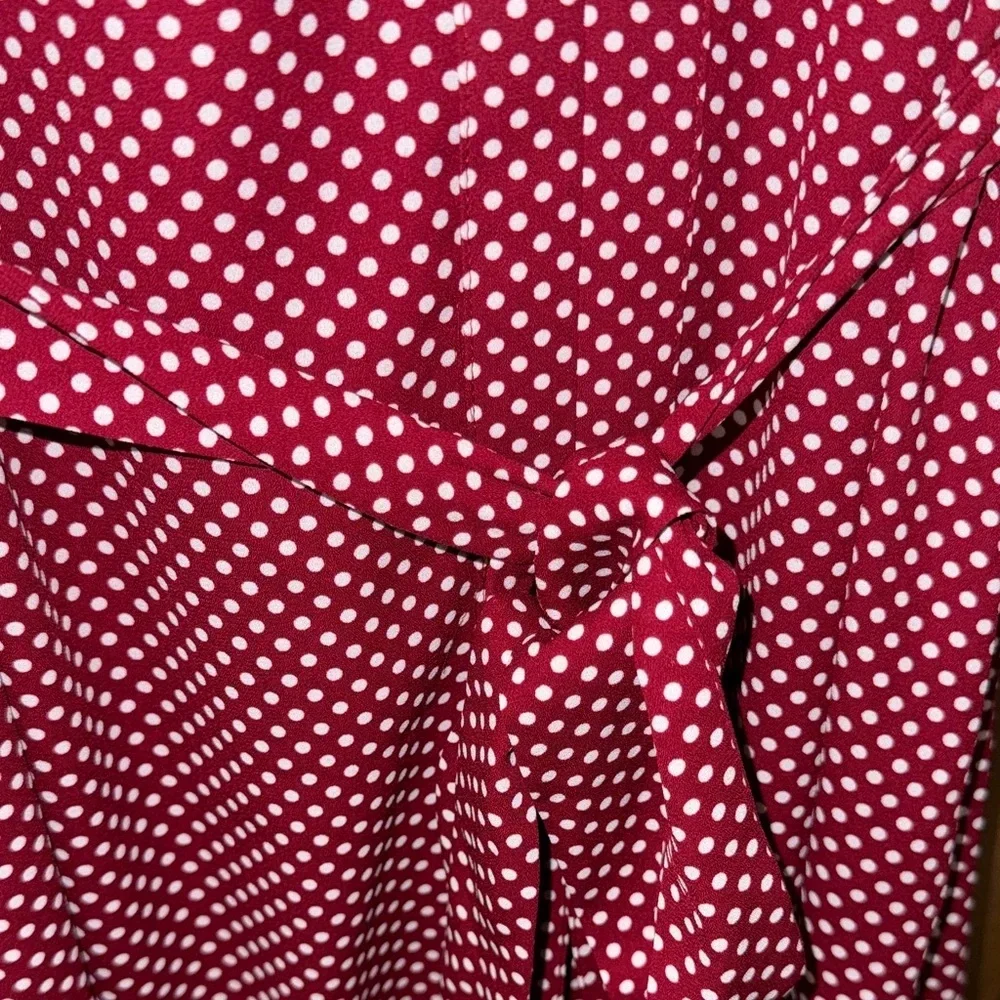 Express Polka Dot Dress with Belt Maroon XS NWT